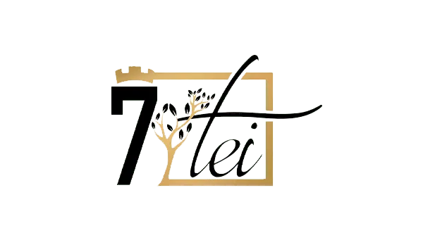 Logo 7 Tei — client servicii DDD Intera Sibiu
