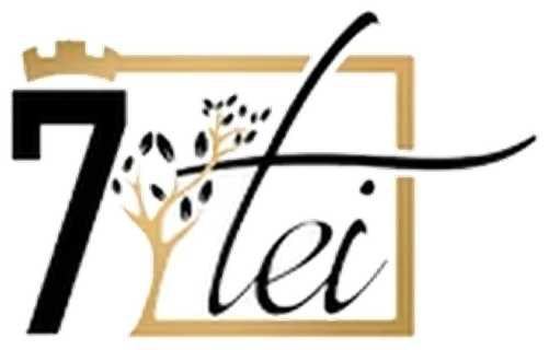 Logo 7 Tei