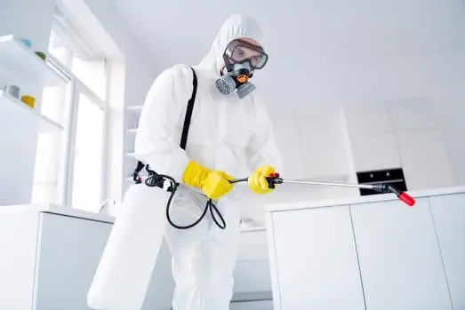 Operator Intera DDD Sibiu în costum de protecție aplică tratamentul de dezinsecție într-o bucătărie
